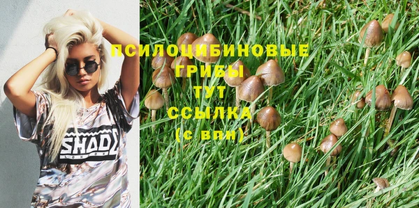 твердый Армянск