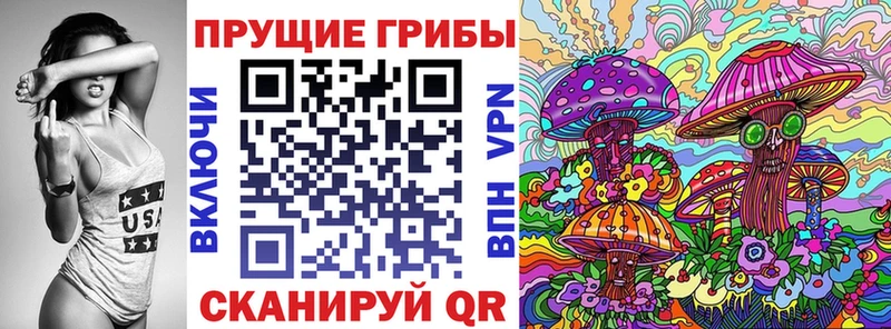 omg рабочий сайт  Покровск  Псилоцибиновые грибы Psilocybe  купить наркотики сайты 